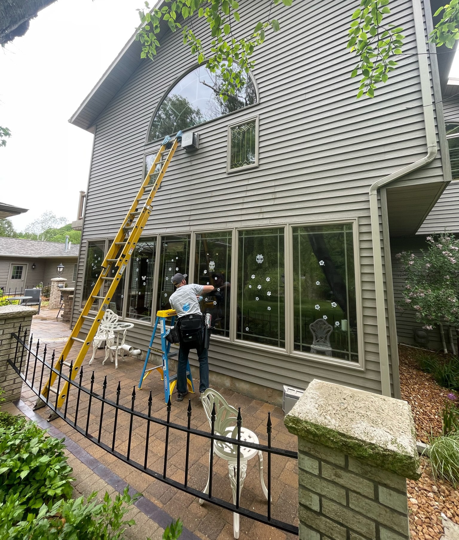 Window Cleaning